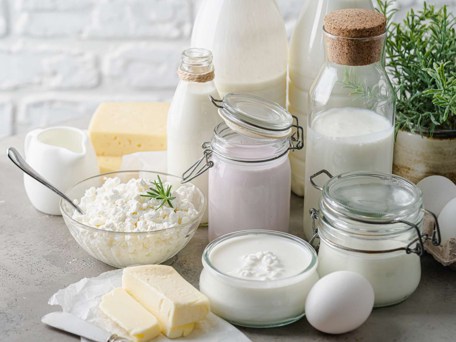 Dairy