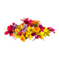 Micro Flowers Edible Mixed