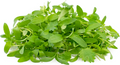 Micro Coriander