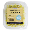 Organic Sprouts - Alfalfa