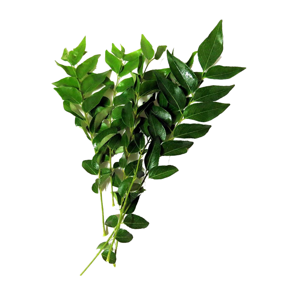 Curry Leaves Pack