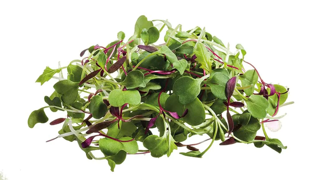 Micro Mixed Salad