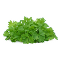 Micro Parsley
