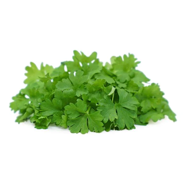 Micro Parsley