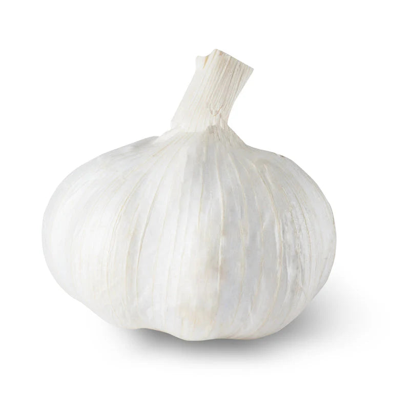 Organic Galic