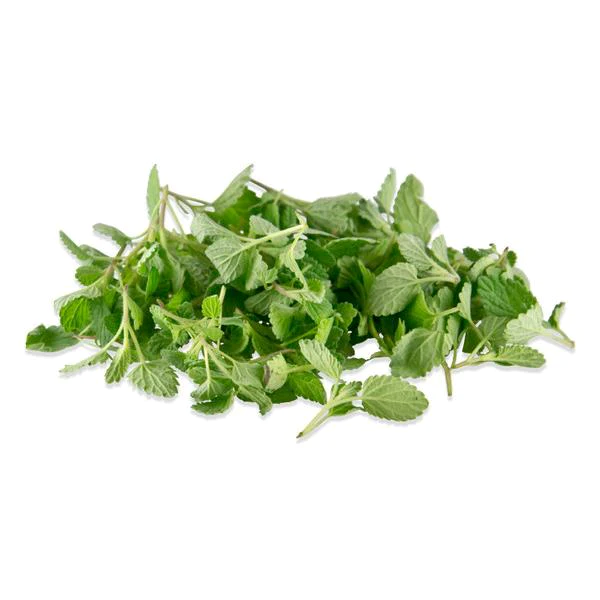 Micro Lemon Balm