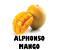 Alphonso Mango