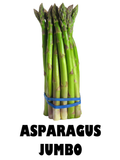Bunch Jumbo Asparagus - 400g