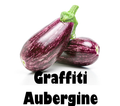 Graffiti Aubergine