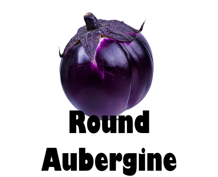 Round Aubergine
