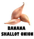 Banana Shallot Onion