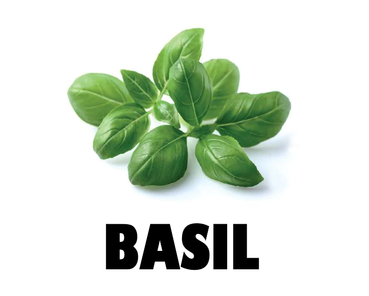 Basil Pack