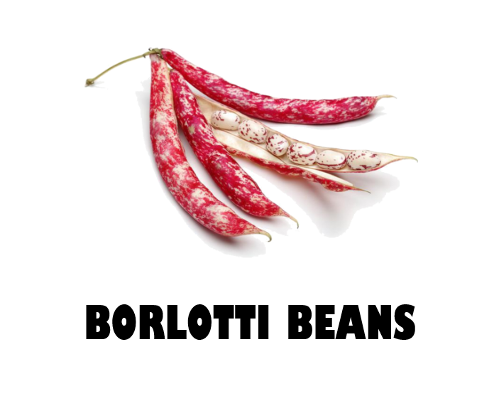 Borlotti Beans - 250g