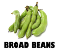 Broad Beans - 250g