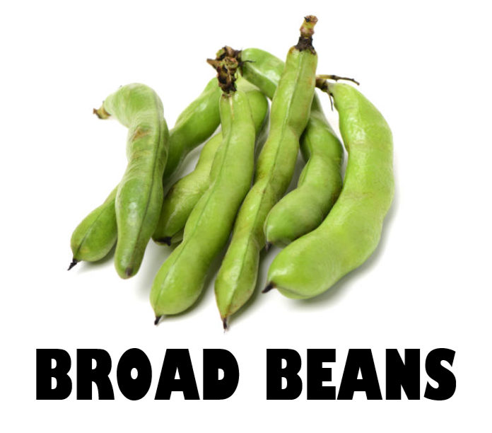 Broad Beans - 250g