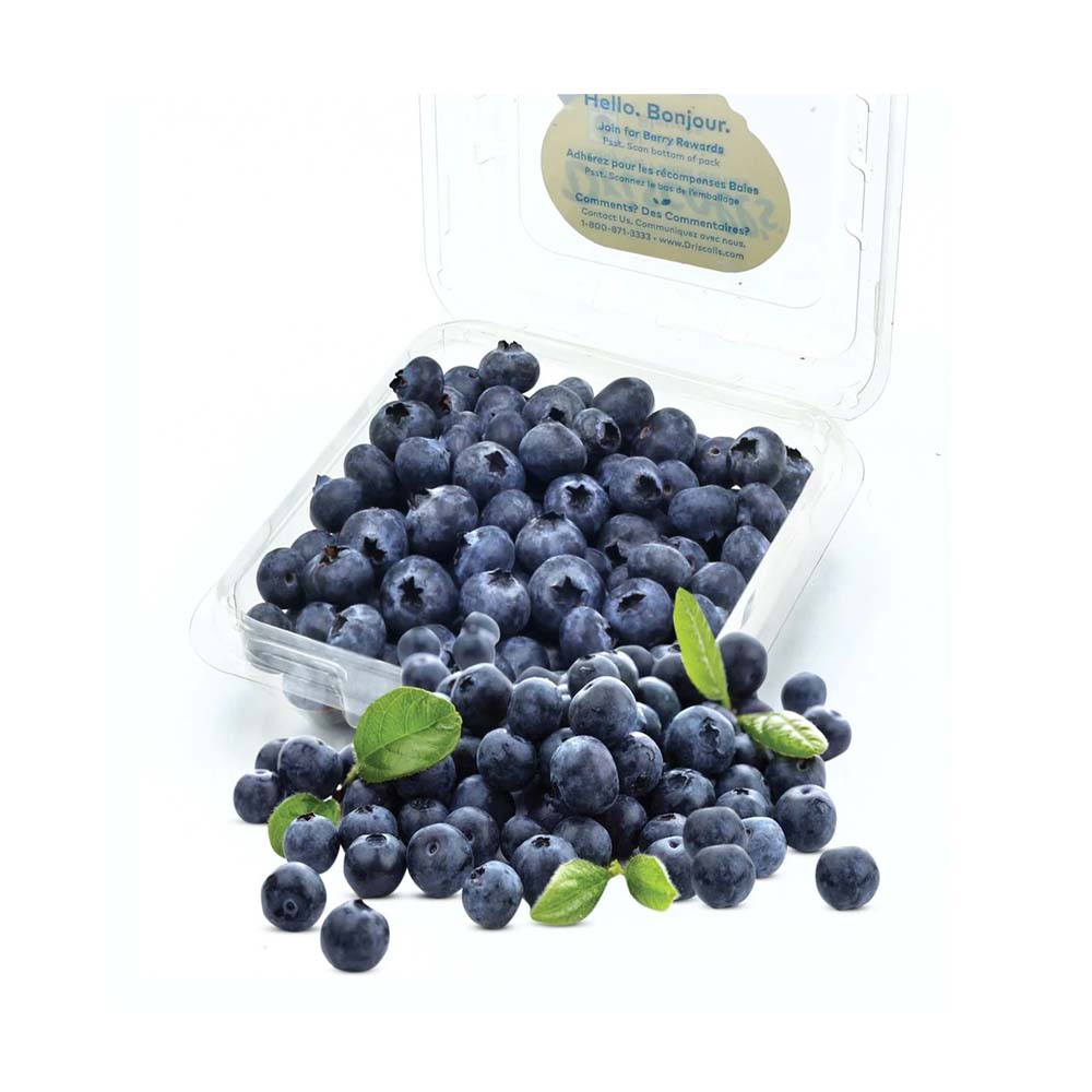 Blueberry Pack 125g