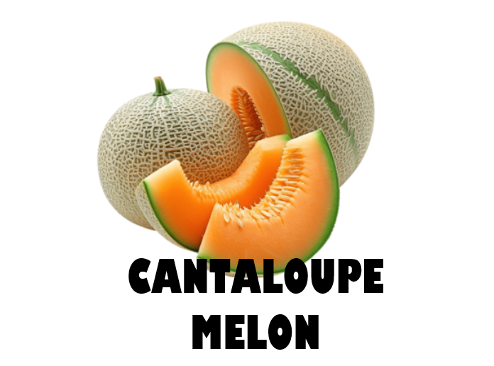 Cantaloupe Melon