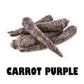 Carrot Purple - 250g