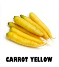 Carrot Yellow - 250g