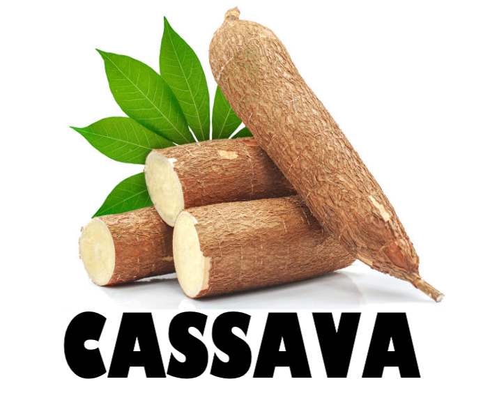 Cassava