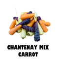 Baby Mix Carrot (250g)