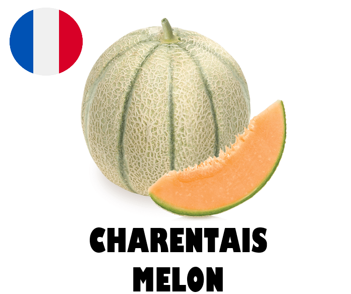 Charentais Melon