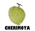 Cherimoya (Custard Apple)
