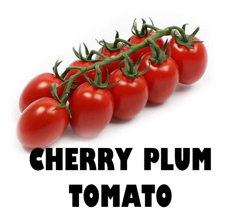 Stem of Cherry Plum Tomato