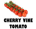 Stem of Cherry Vine Tomato