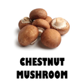 CHESTNUT MUSHROOM - 250g