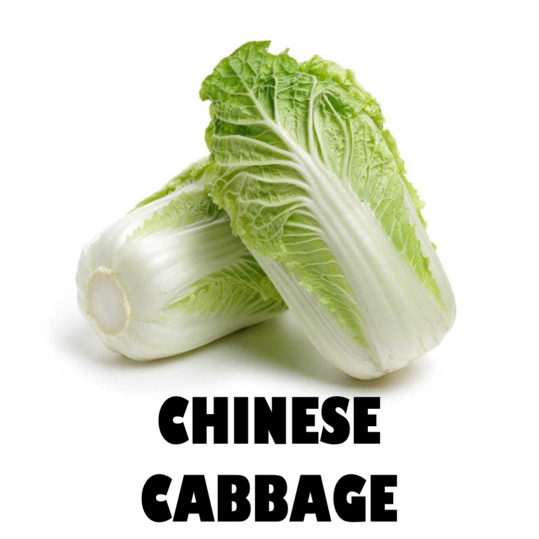 Chinese Cabbage