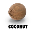Coconut