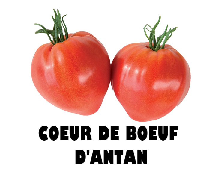 Coeur De Boeuf Tomato - 250g