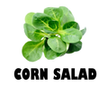 Corn Salad Pack