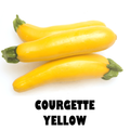 Yellow Courgette - 250g