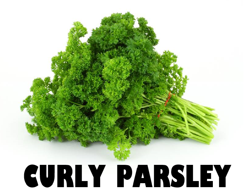 Parsley Curly in Pack