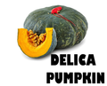 DELICA PUMPKIN