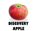 Discovery Apple