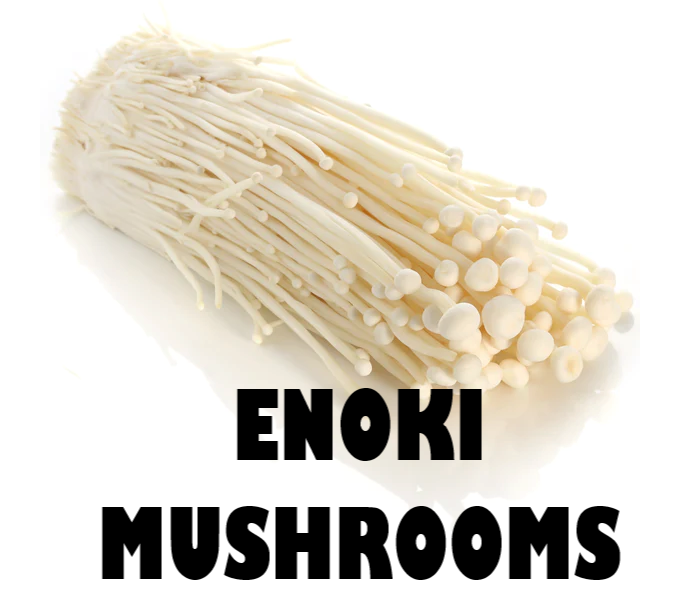 ENOKI MUSHROOMS