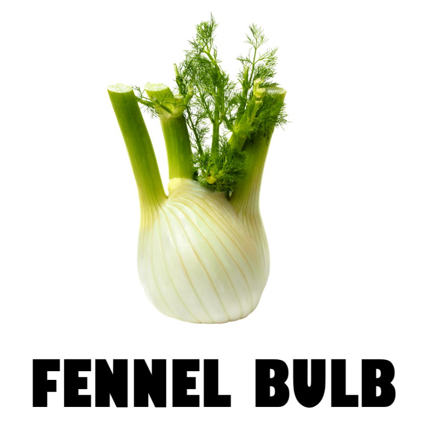 Fennel