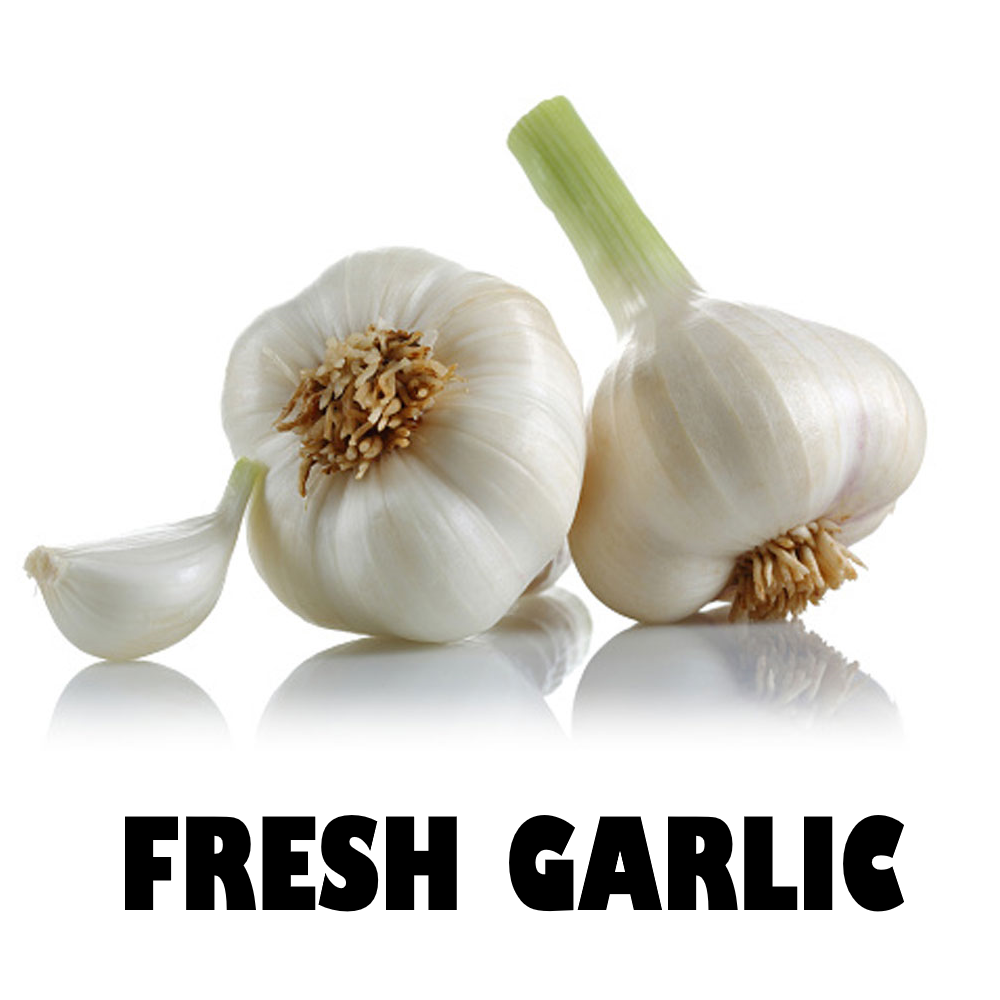 Fresh Garlic