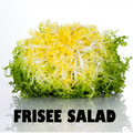 Frisee Salad