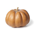 French Brown Pumpkin Piece - 500g