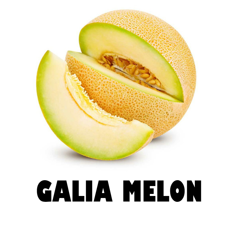 Galia Melon