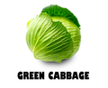 Green Cabbage