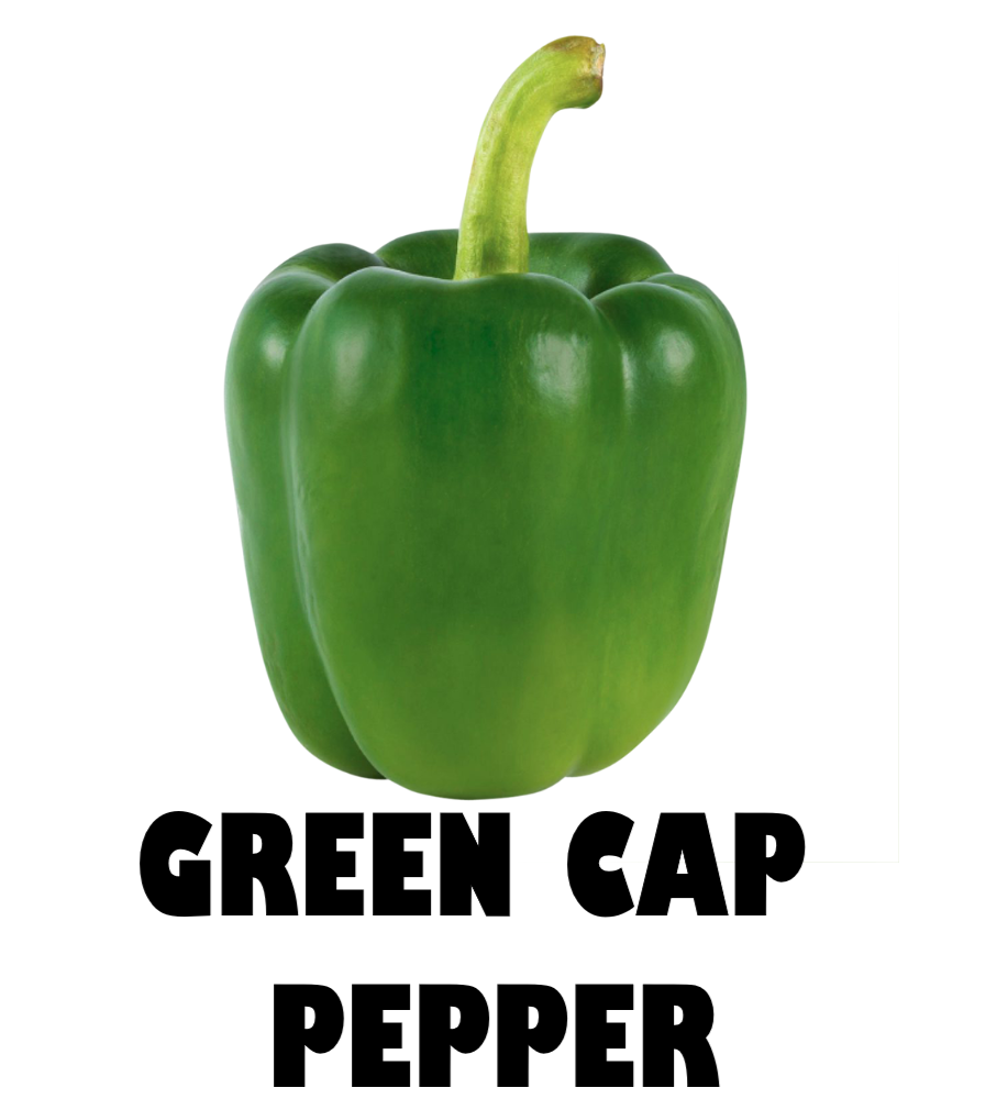 Bell Pepper Green