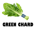 Green Chard Bunch