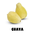 Guava
