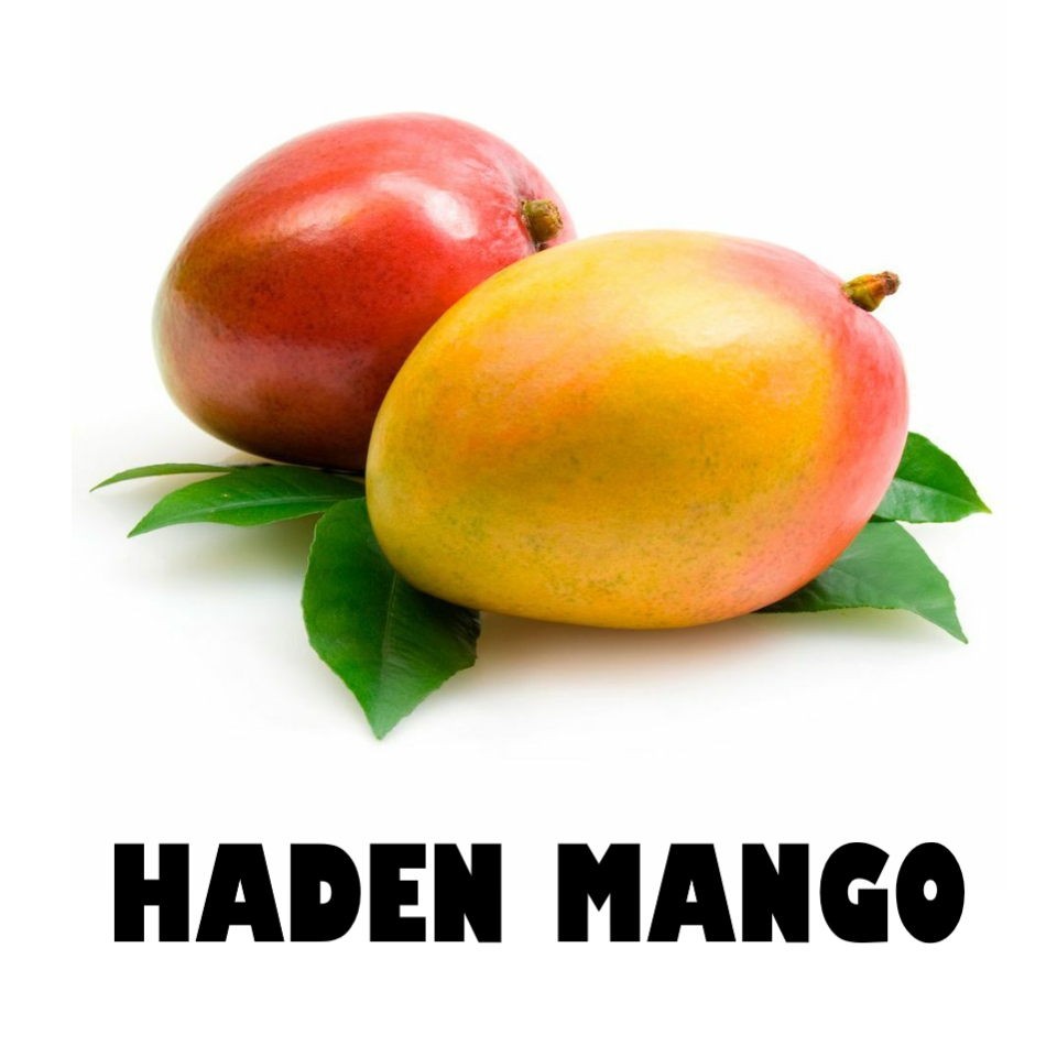 Haden Mango