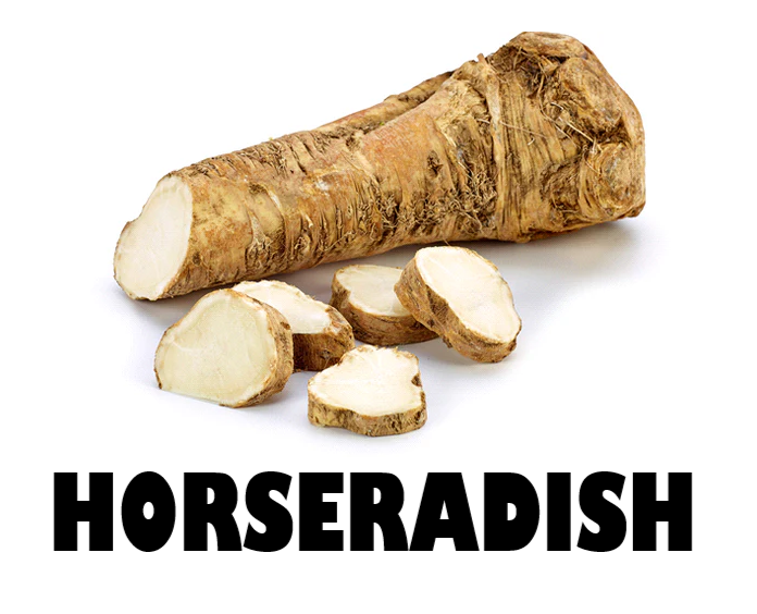 Horseradish - 250g